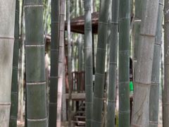 -宝岩生态观光园