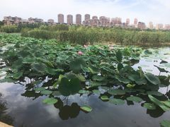 -前关湿地公园