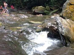 android_upload_pic-鼎湖山风景区