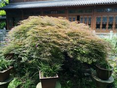 -上海植物园-4号门售票处