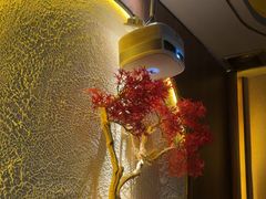 -江南足纪·影院足道·轻奢SPA(笋岗HALO广场店)