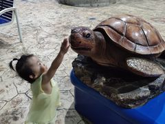 -芜湖新华联大白鲸海洋公园