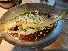 -佬肥猫(七宝宝龙店)