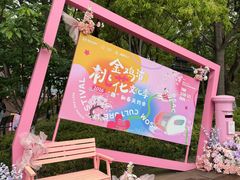 -金鸡湖桃花岛