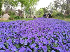 -郑州中国绿化博览园