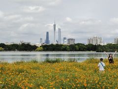 -海珠湖公园