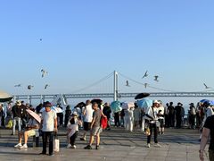 -星海广场