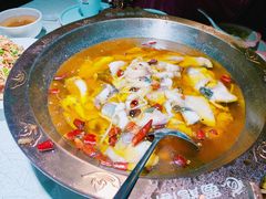 -雲蜀龙阁·金牌水煮鱼(方庄店)