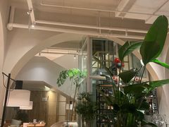 -长春藤咖啡(北园店)