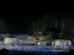 -禅宗少林·音乐大典