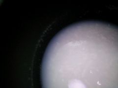 android_upload_pic-北国之春东北菜馆(广南路店)