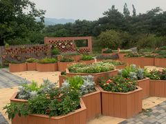 -国家植物园南园