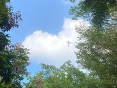 -深圳国际园林花卉博览园