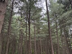 -沈阳植物园