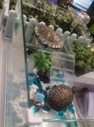 -香秀空间科技抗衰·美容中心