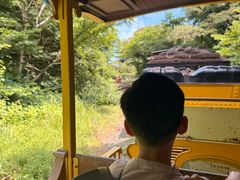 -济州森林小火车生态公园
