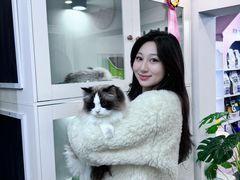 -青奢宠物·青奢猫舍