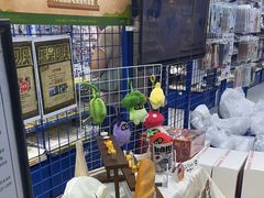 -animate(北京店)