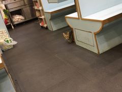 -新德兴茶餐厅(湾仔道店)