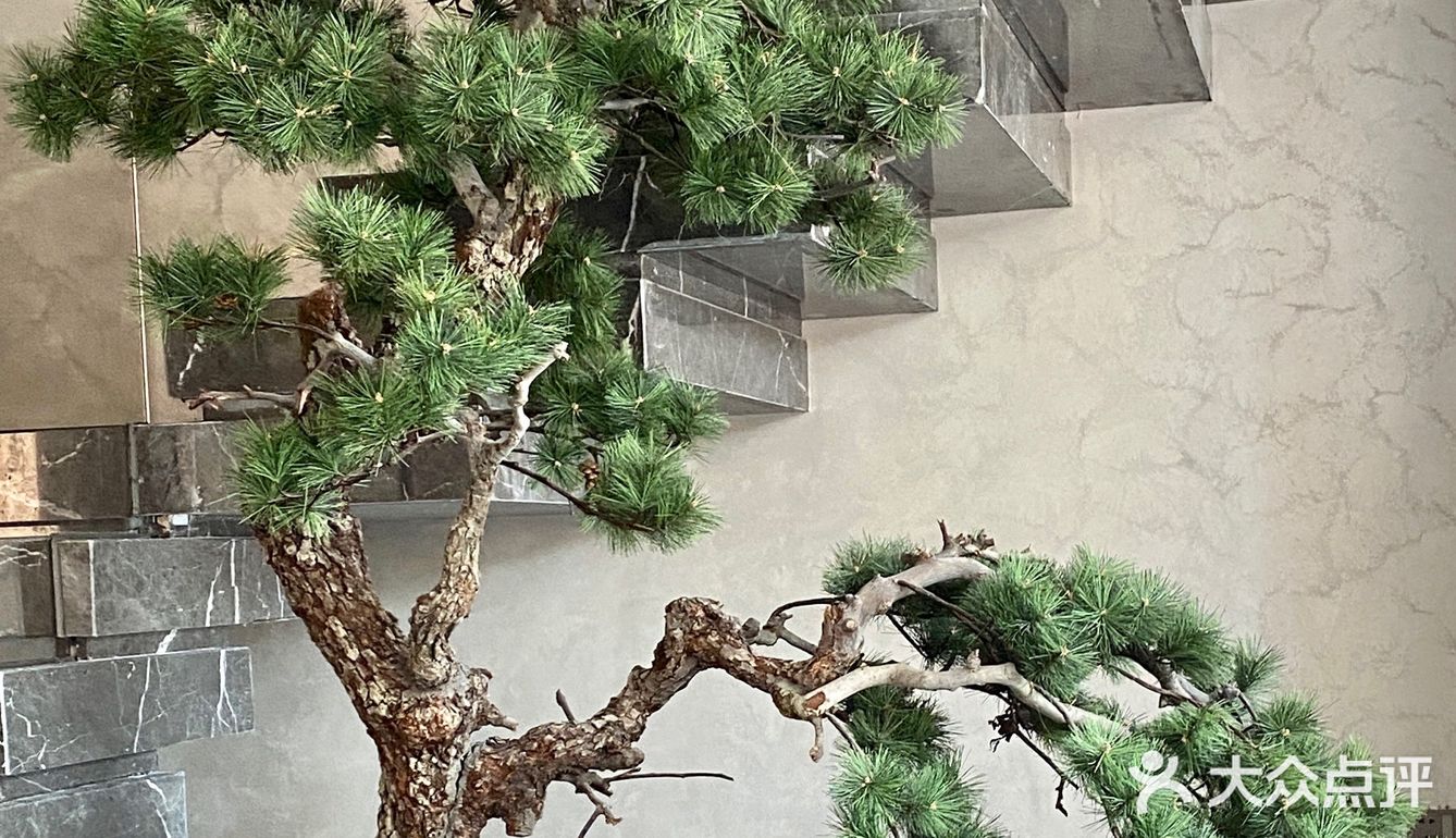 家常菜也能很高级