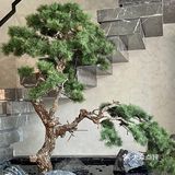 家常菜也能很高级