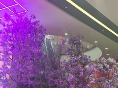 -绿茶餐厅(昆明世纪金源店)