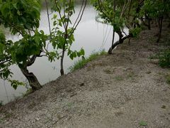 -丝绸小镇荻港古村