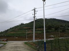 -普迪生态园