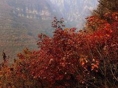 -狼牙山风景区