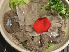 -蜀九香火锅(彩虹店)