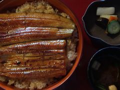 -料亭菊水楼