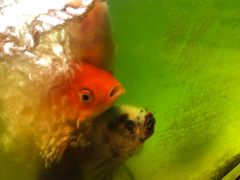 -休记光头香辣蟹干锅店(衣冠庙店)