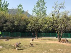 -西安秦岭野生动物园