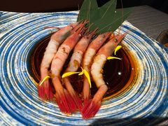 獭祭甜虾-炙柒Sekinana·精致日料(合生汇店)