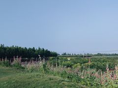 -君乐宝优致牧场