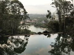 -水濂山森林公园