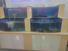 -屯老二农家铁锅炖·行业领军者(梅江店)