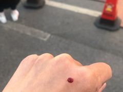 -满谷宝栗(奥林匹克店)