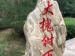 -大槐树寻根祭祖园