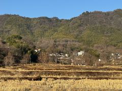 -塔川景区