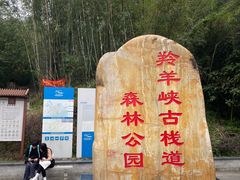 -羚羊峡古栈道森林公园