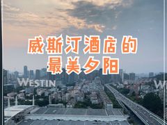 -厦门威斯汀酒店
