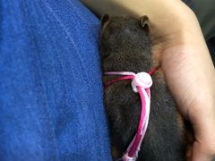 -MOJO密室逃脱(中街旗舰店)