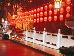 -金城公园