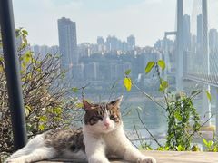 -全季酒店(重庆上清寺牛角沱地铁站店)