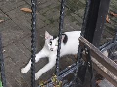 -二楼南书房
