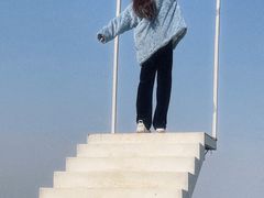 -瑶湖郊野森林公园