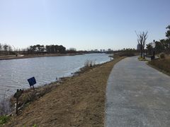 -春花秋色城市公园