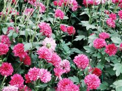 -中国天府农业博览园