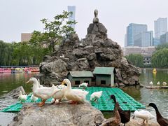 -团结湖公园